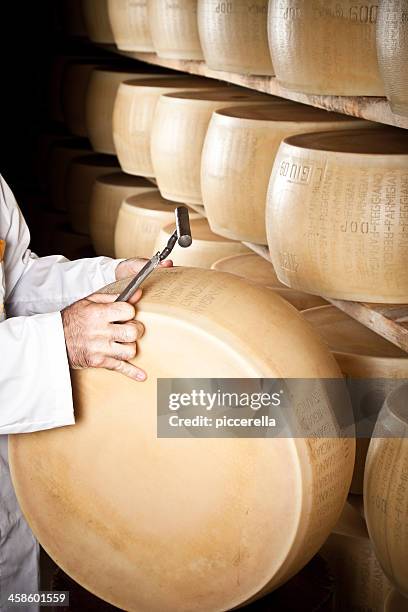 un esperto è pronto per la maschiatura di parmigiano con martello - parmigiano foto e immagini stock