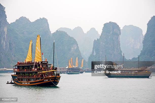 giunca nella baia di ha long - baia foto e immagini stock