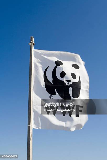 wwf flag against the blue sky - wereld natuur fonds stockfoto's en -beelden