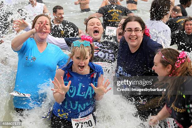 the polar plunge - nieuwjaarsduik stockfoto's en -beelden