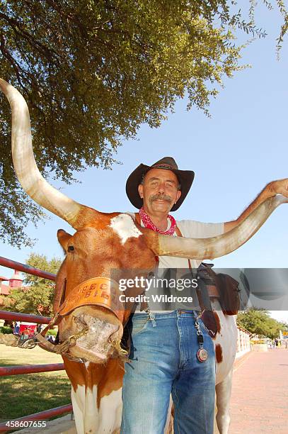 cowboy y longhorn en fort worth yardas de stock - fort worth fotografías e imágenes de stock