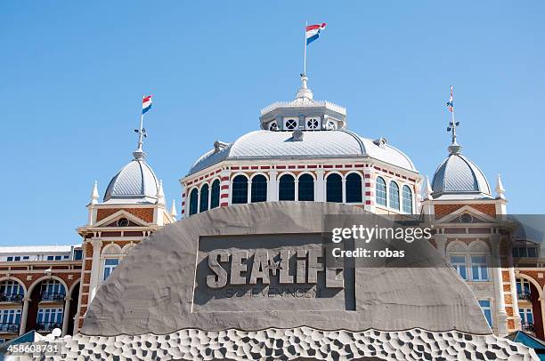 sand sculpture am strand of scheveningen - scheveningen stock-fotos und bilder