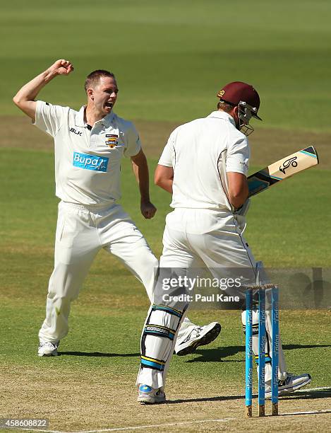 Nathan Rimmington of Western Australia celebrates dismissing Peter Forrest of Queensland during day one of the Sheffield Shield match between Western...