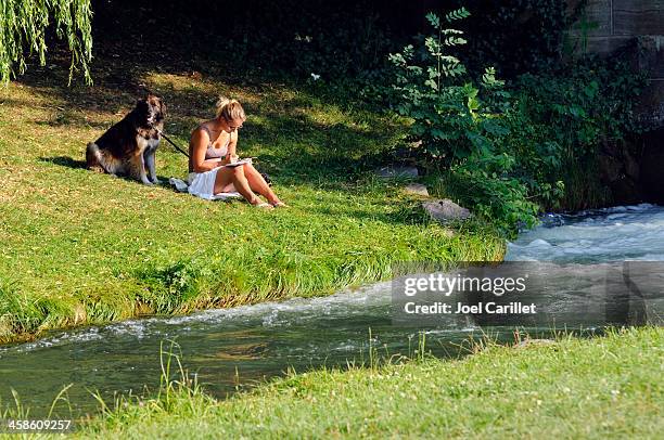 woman reading beside a river in munich, germany - newfoundlandshund bildbanksfoton och bilder