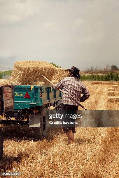 harvest"" - aegean turkey stock-fotos und bilder