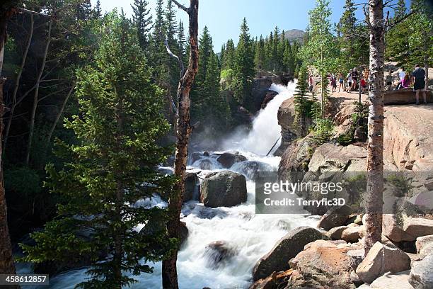 alberta falls, rocky mountain national park - terryfic3d stock pictures, royalty-free photos & images
