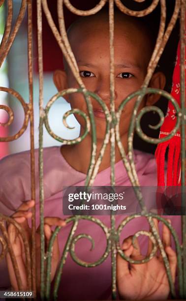 kalaywa tawya monastery, myanmar - buddist nun stock pictures, royalty-free photos & images