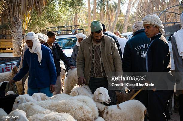 チュニジアの羊市場 - チュニジア文化 ストックフォトと画像