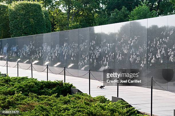 squirrel at the korean war memorial in washington dc - korean war memorial stockfoto's en -beelden