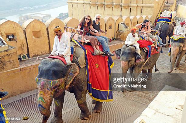 tourists riding elephants, amber fort, jaipur, india - amer fort stock pictures, royalty-free photos & images