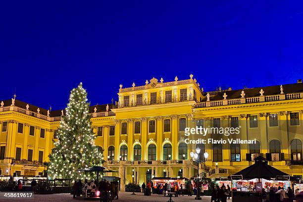 christmas market at schönbrunn - schonbrunn palace stock pictures, royalty-free photos & images
