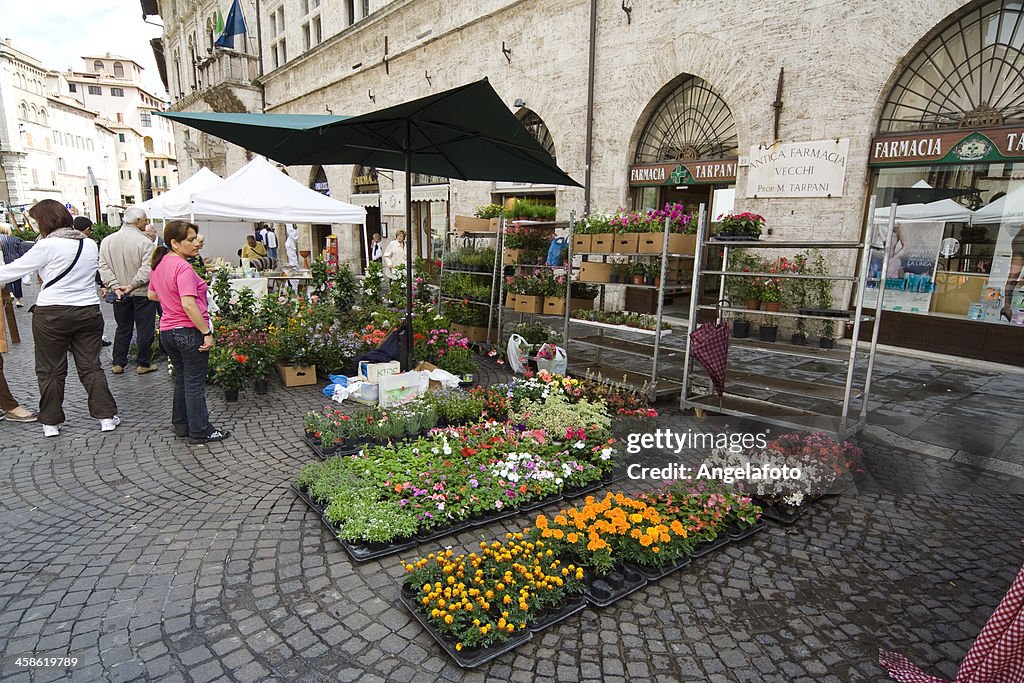 Flowers Street Market in Perugia
