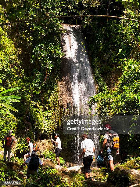 waterfall on siberut - mentawai islands stock pictures, royalty-free photos & images