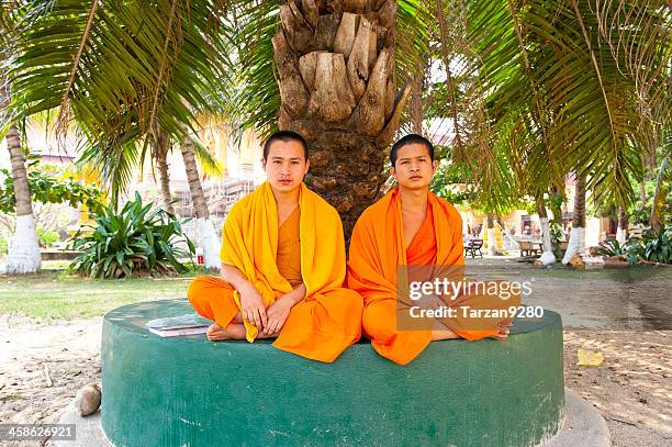 two young monks sitting under palm tree - theravada stock pictures, royalty-free photos & images