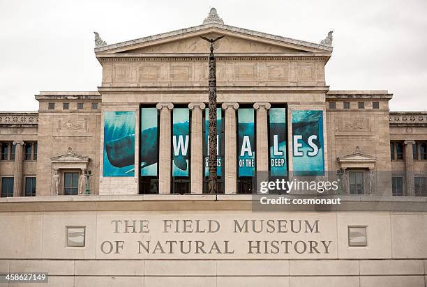 the field museum of natural history in chicago - field museum stockfoto's en -beelden