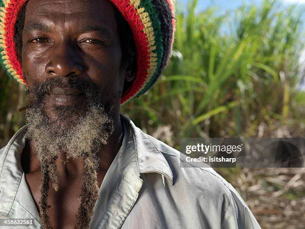 Cane Rasta 7,009 Rasta Picture Stock Photos, High-Res Pictures, and Images - Getty ...