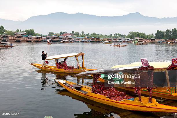 shikaras and houseboats in lake dal - jammu en kasjmir stockfoto's en -beelden