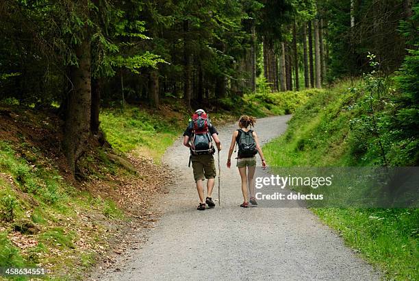 wanderer - elbsandsteingebirge stock-fotos und bilder