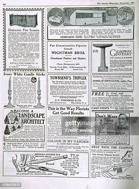 garden magazine ads 1921 - nature magazine stock pictures, royalty-free photos & images