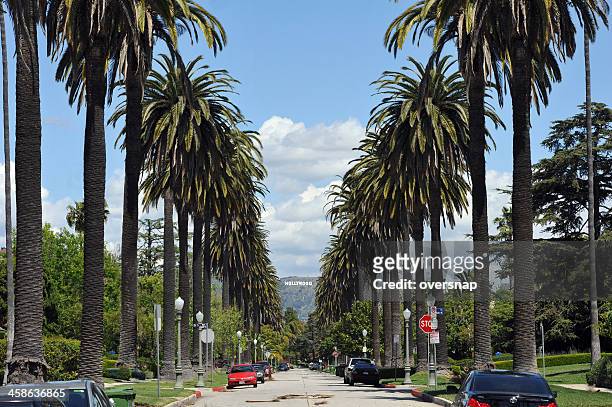 hollywood palms and sign - hollywood california stock pictures, royalty-free photos & images