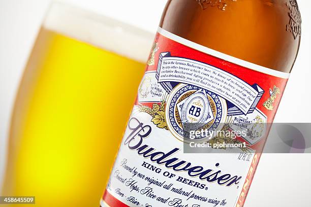 budweiser - inbev stock pictures, royalty-free photos & images