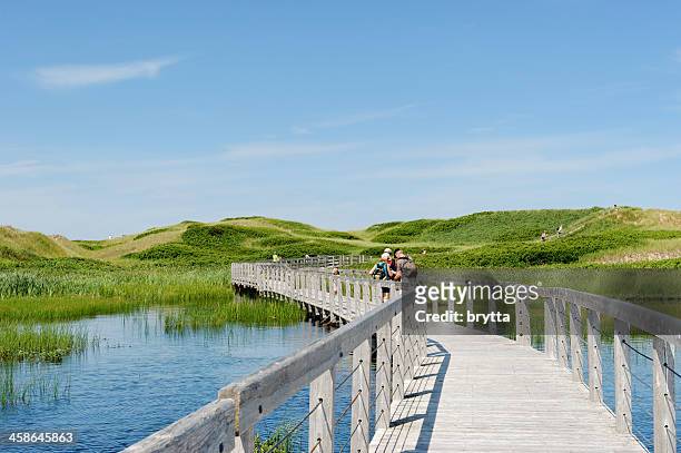 greenwich dunes trail - prince edward island stock pictures, royalty-free photos & images