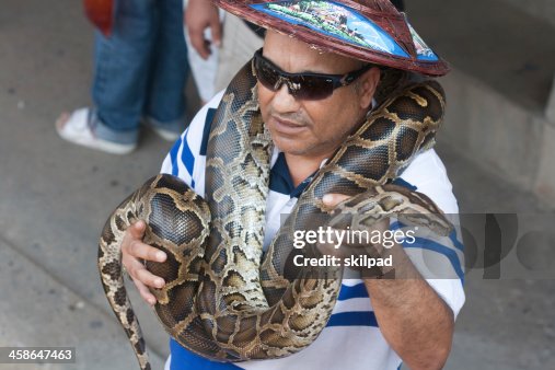 Tourist poses with python Tourist poses with python