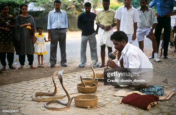 snake charmer - snake charmer stock pictures, royalty-free photos & images