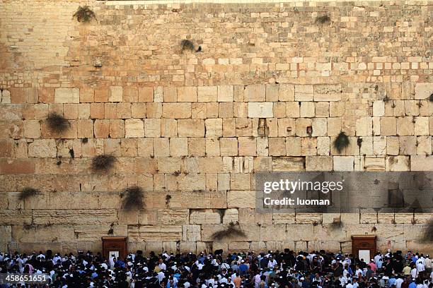 männer beten an der klagemauer in jerusalem - hasidic jew stock-fotos und bilder