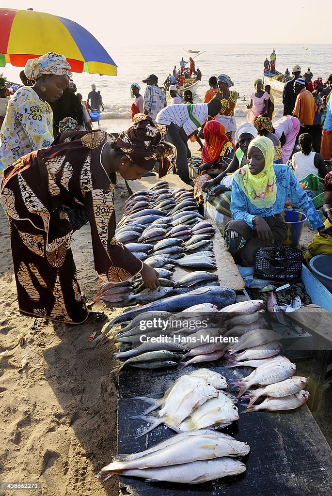 Mercado de peixes na praia em Tanji