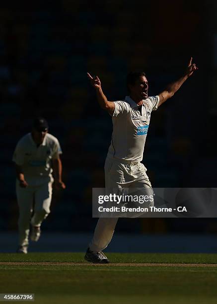 Clint McKay of Victoria celebrates with team mates after claiming the wicket of Jordan Silk of Tasmania during day two of the Sheffield Shield match...