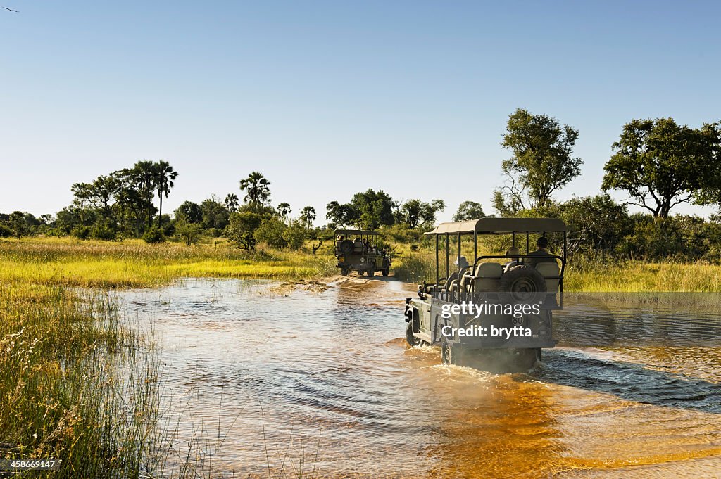 Jeep-safari