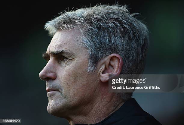 Alan Irvine manager of West Bromwich Albion looks on prior to the Barclays Premier League match between West Bromwich Albion and Newcastle United at...