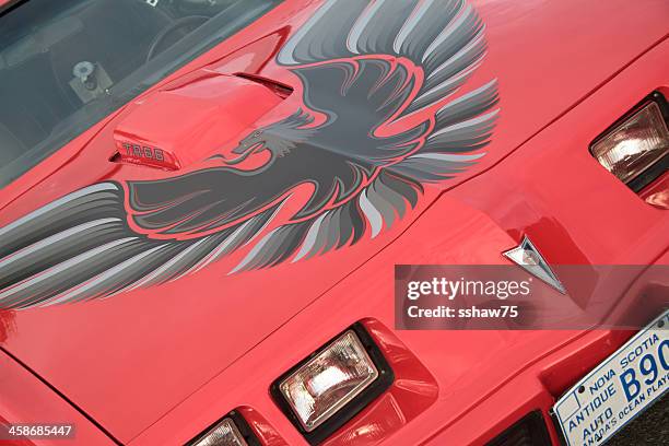 221点のポンティアックトランザムのストックフォト Getty Images 221点のポンティアックトランザムのストックフォト Getty Images