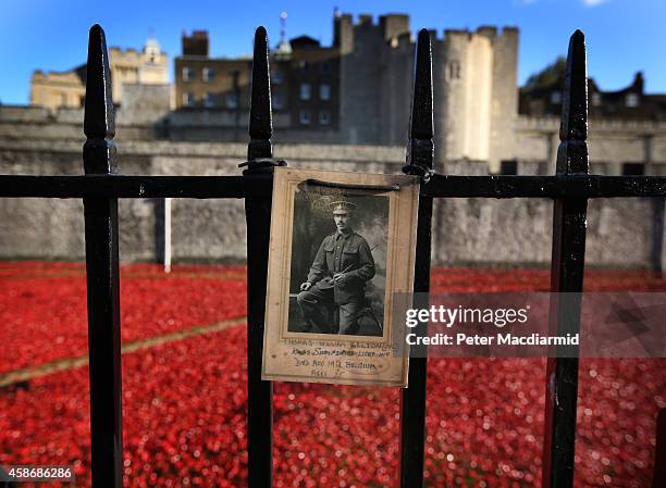 Photograph of Corporal Thomas William Belton of the Kings Shropshire Light Infantry, who died in Belgium in World War One at the age of 25, is placed...