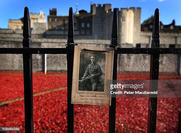 Photograph of Corporal Thomas William Belton of the Kings Shropshire Light Infantry, who died in Belgium in World War One at the age of 25, is placed...