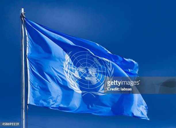 drapeau des nations unies. - drapeau des nations unies photos et images de collection