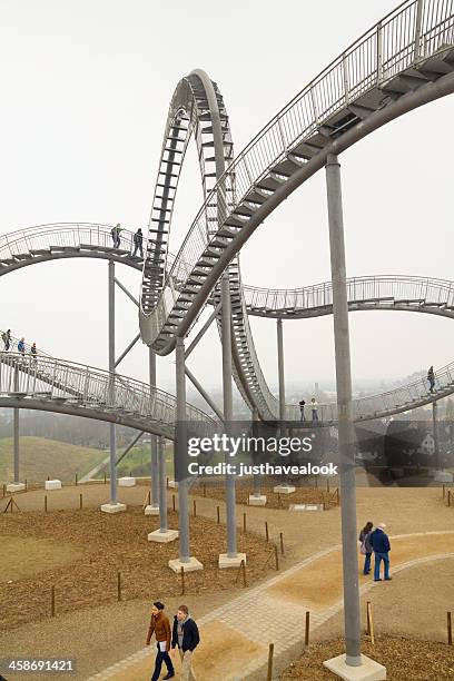 big dipper tiger & turtle duisburg - duisburg stock pictures, royalty-free photos & images