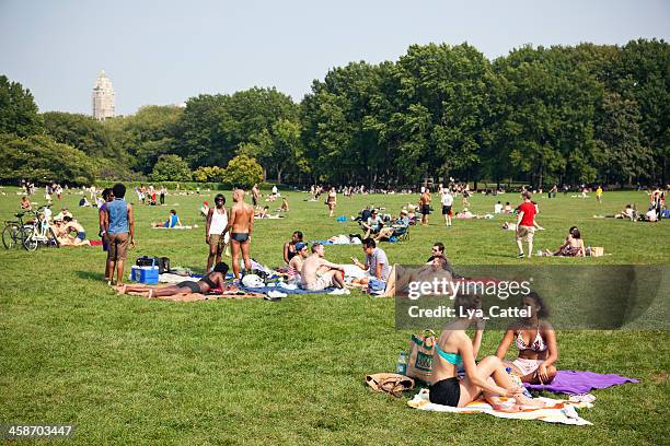 Central Park Sunbathing Photos and Premium High Res Pictures - Getty Images