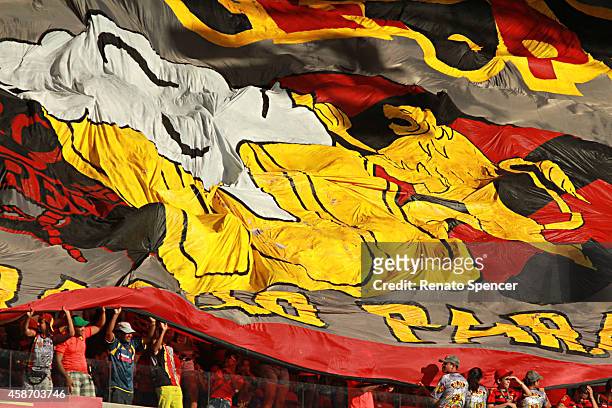 Fans of Sport Recife cheer before a match between Sport Recife and Flamengo as part of Brasileirao Series A 2014 at Arena Pernambuco on November 9,...