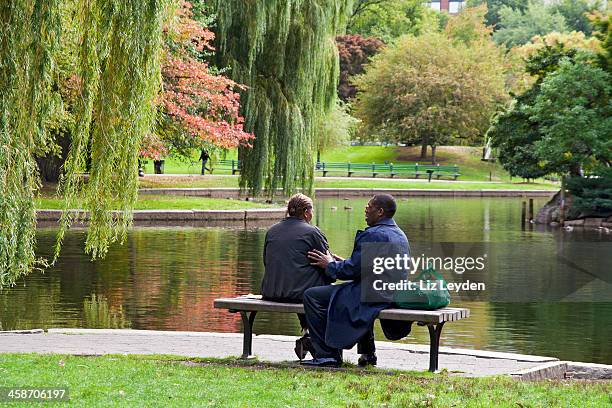 african american couple by the pond in boston common - boston common stock pictures, royalty-free photos & images