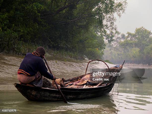 pescadores de sundarban - bengala ocidental - fotografias e filmes do acervo