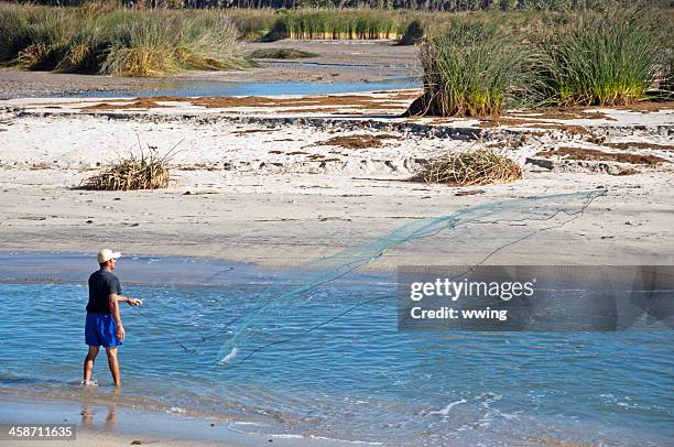 net fishing in san jose del cabo - throwing fishing net stock pictures, royalty-free photos & images