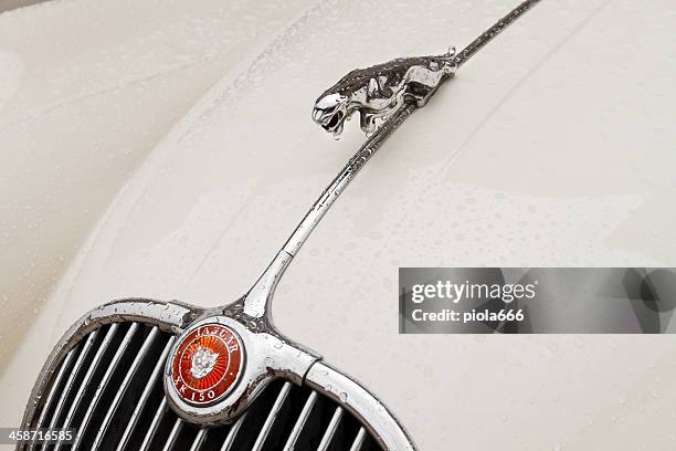 74 Jaguar Hood Ornament Stock Photos, High-Res Pictures, and Images - Getty  Images