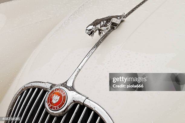 jaguar vintage classic car symbol close-up - old jaguar stock pictures, royalty-free photos & images