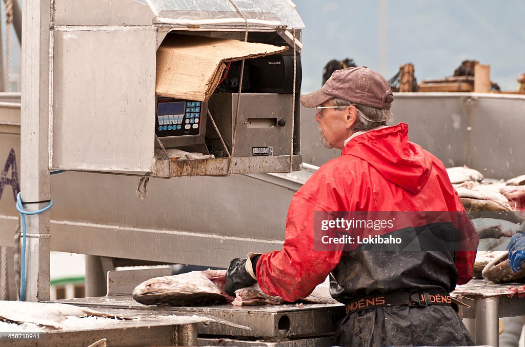 Weighing the Halibut