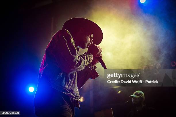 Theophilus London performs during Howl Festival at La Gaite Lyrique on November 9, 2014 in Paris, France.