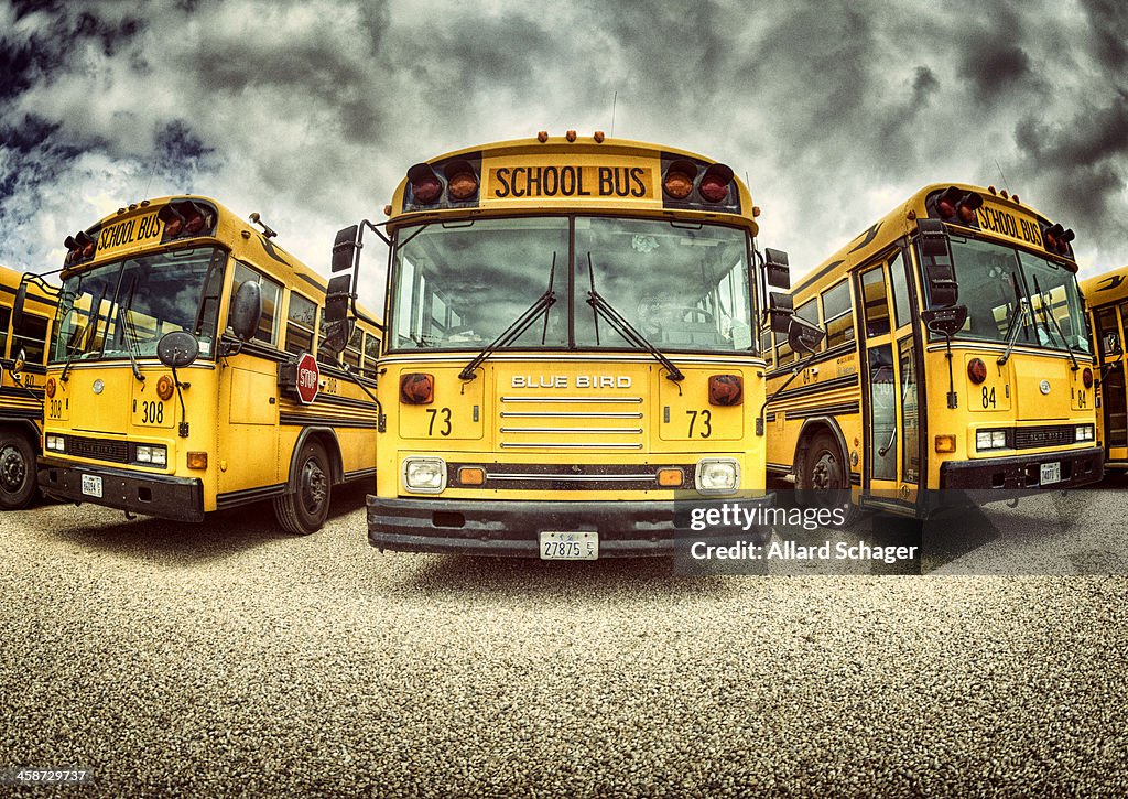 American School Buses in Yard