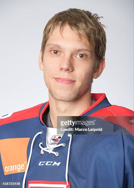 Van Sykora of Slovakia poses for a portrait during the Slovakia men's national ice hockey team presentation on November 6, 2014 in Munich, Germany.