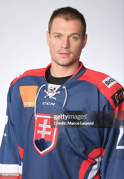 Vladimir Dravecky of Slovakia poses for a portrait during the Slovakia men's national ice hockey team presentation on November 6, 2014 in Munich,...